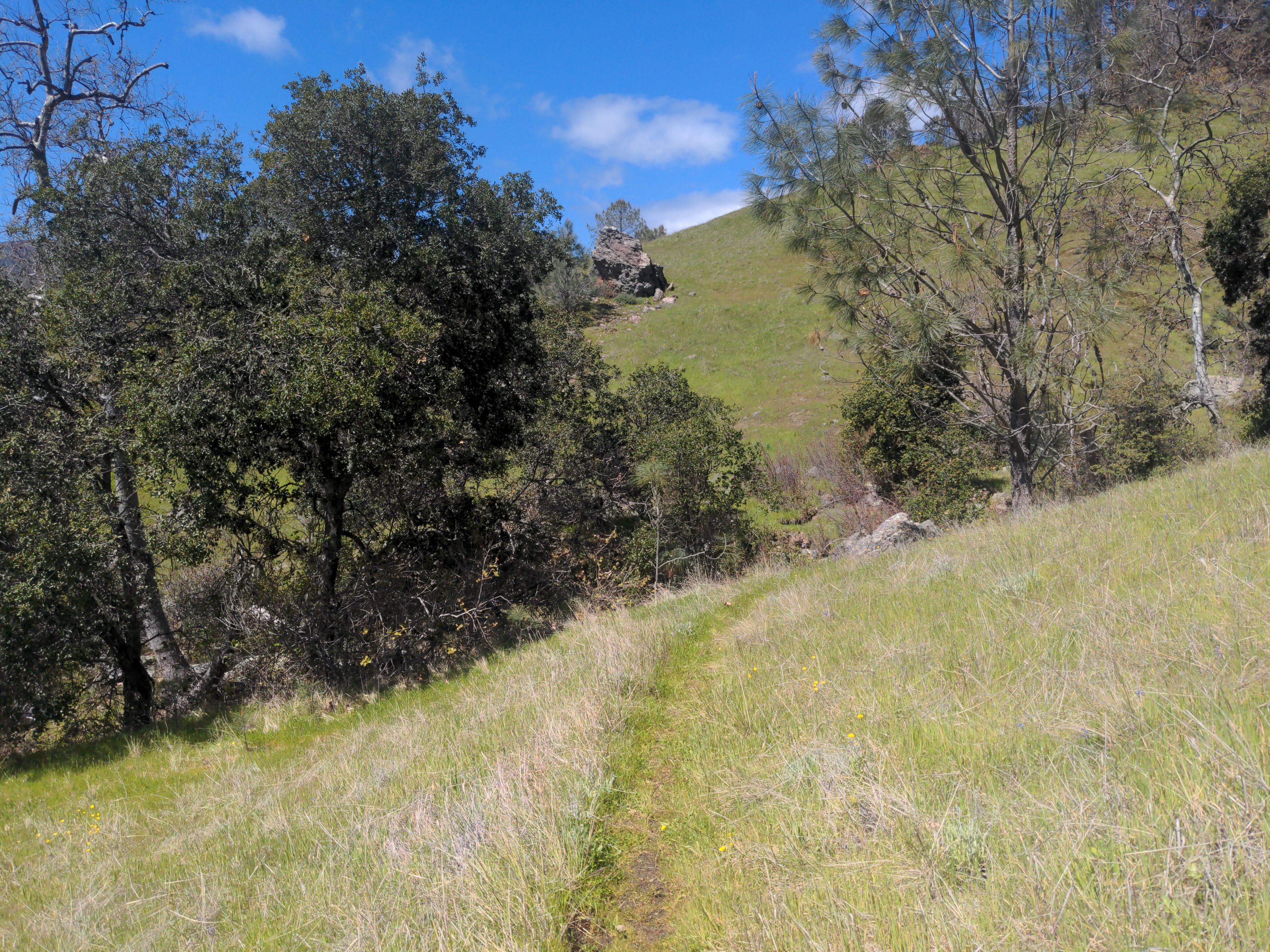 Trail through the wilderness