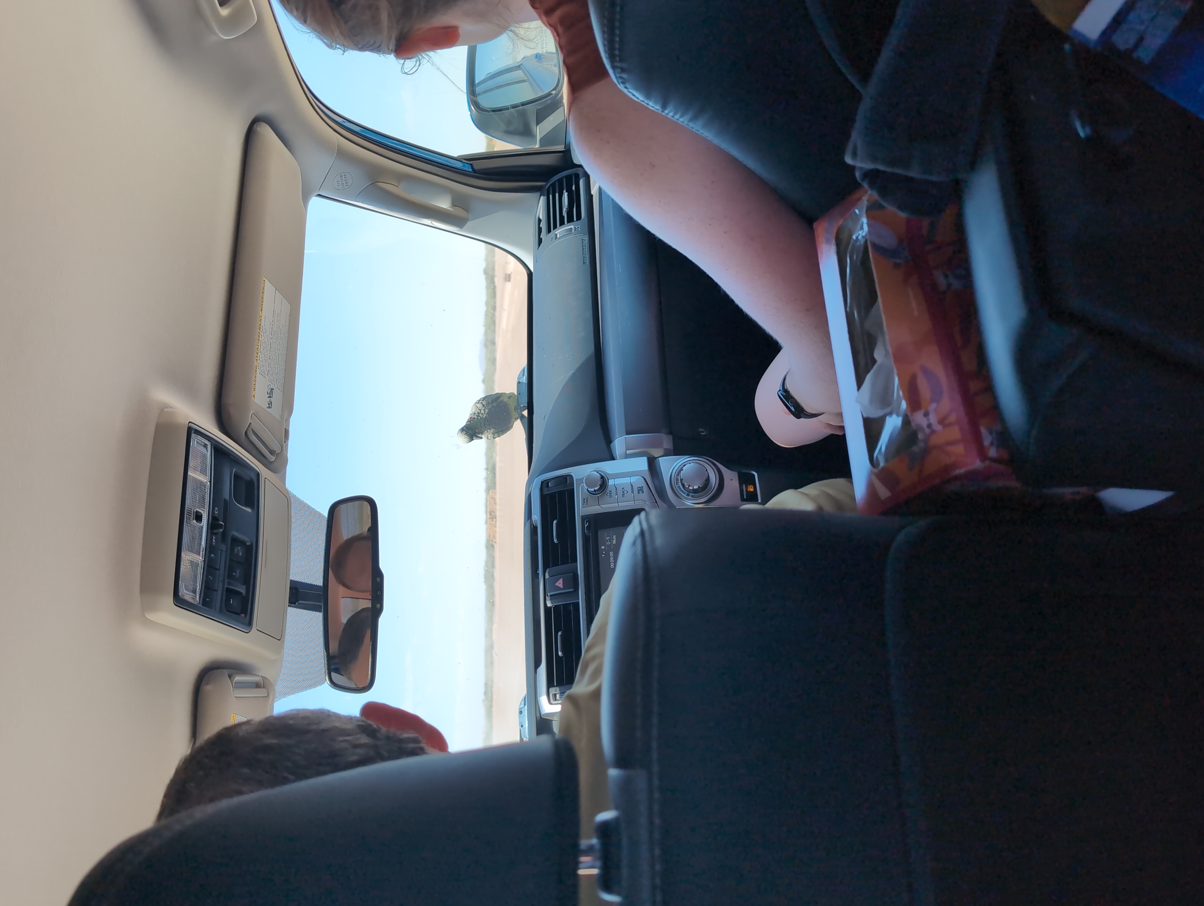 Driving in the Desert