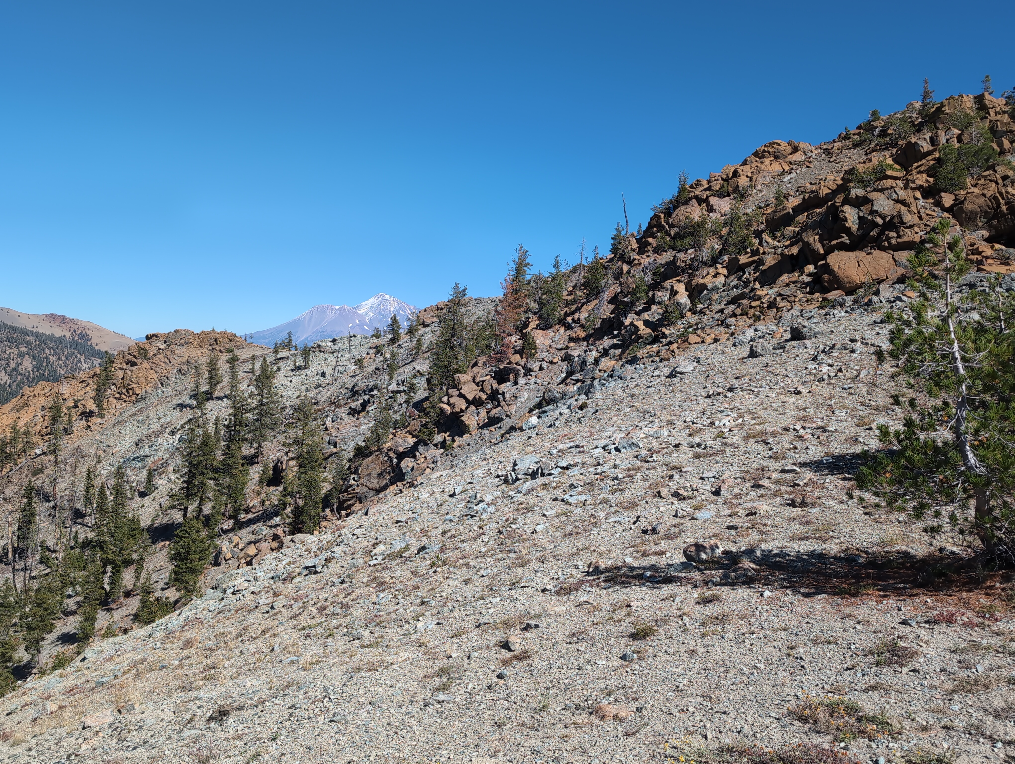 Afternoon exploration 1