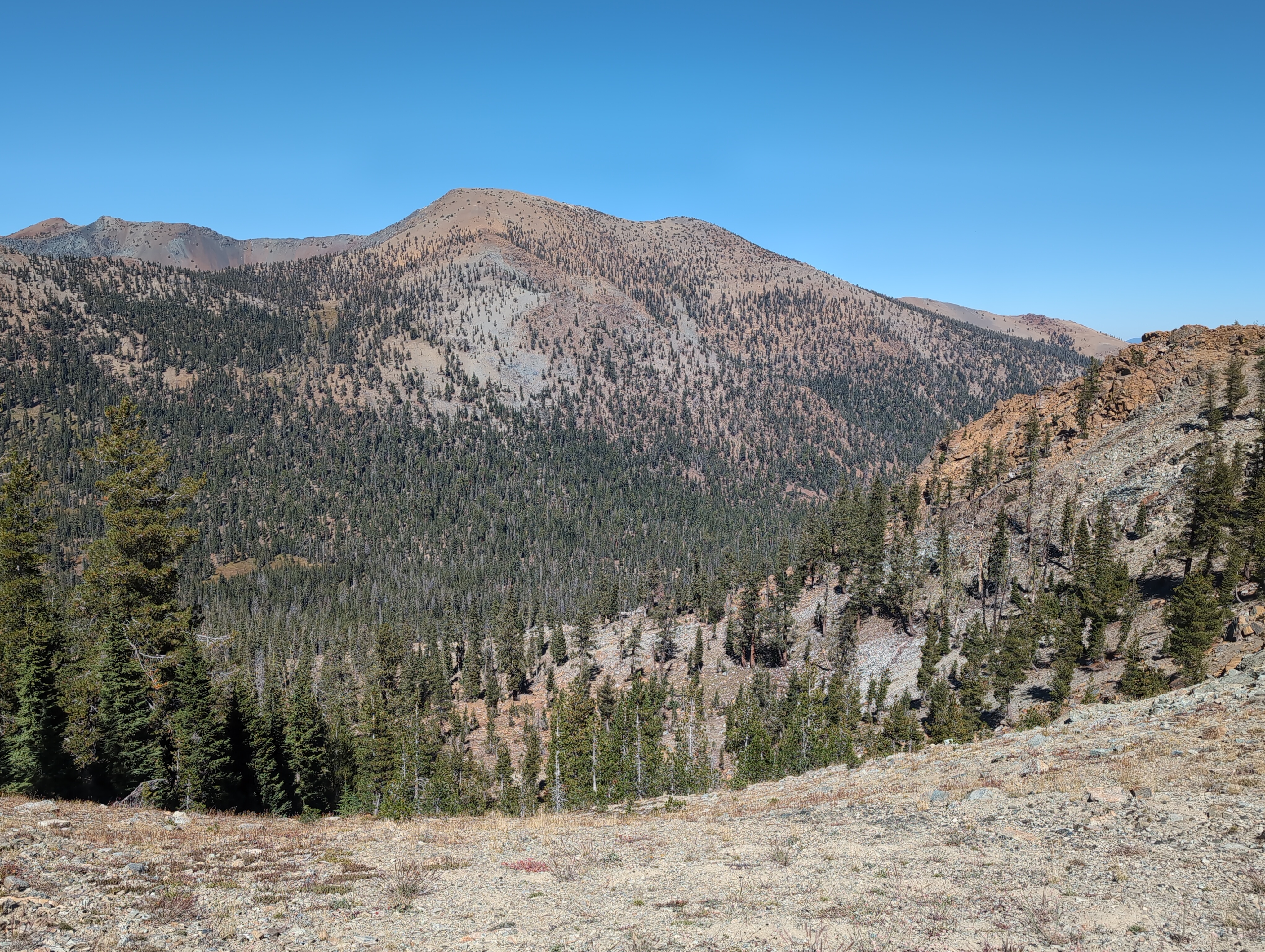 Afternoon exploration 2