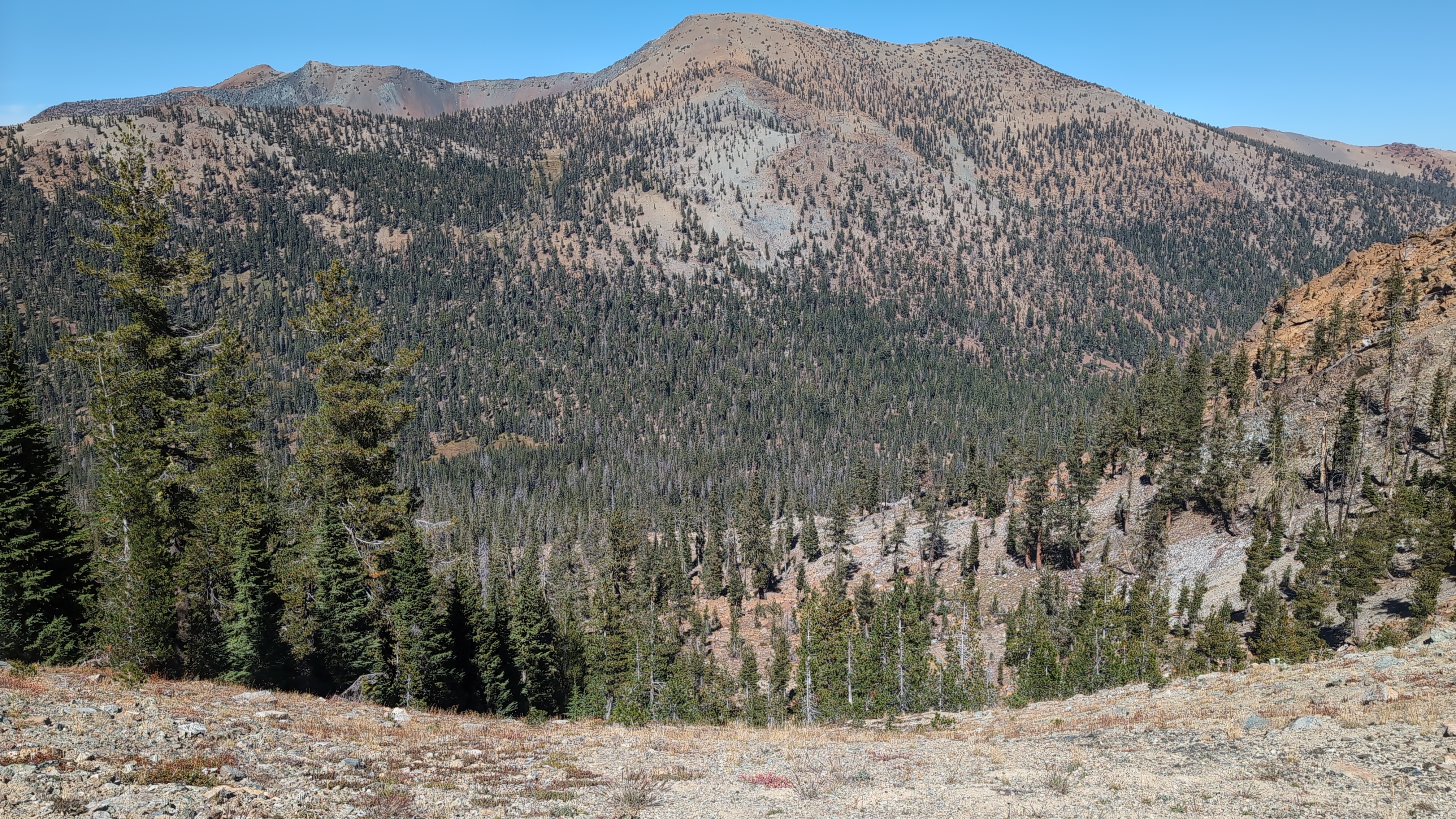 Afternoon exploration 3